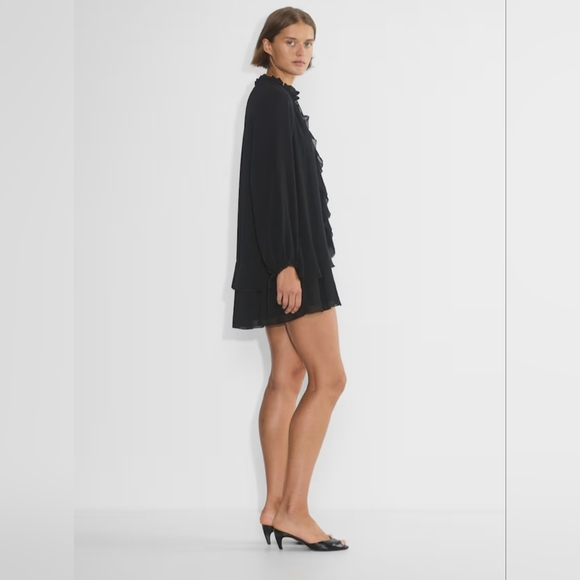 Wilfred Amerie Dress (S) - Picture 4 of 14